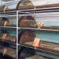 Руководители православных общественных движений и их активисты направили официальное обращение священноначалию РПЦ по вопросу о «екатеринбургских останках»