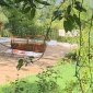 Укронацисты в Киеве вынесли святых