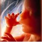 Католики и православные предлагают запретить в Белоруссии аборты и суррогатное материнство