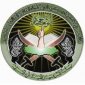 «Аль-Каида» понесла весомые потери в Сирии